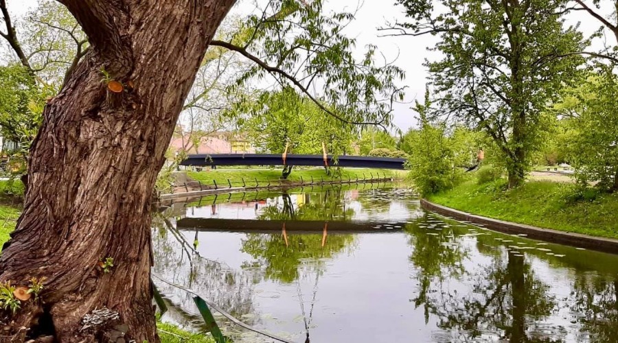 Nowy Dwór Gdański. Nowa kładka nad Tugą (7)