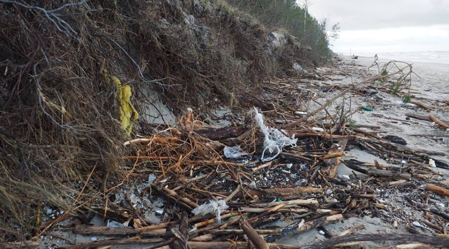 Mierzeja Wiślana. Ogromne zniszczenia wydm i plaż (1)