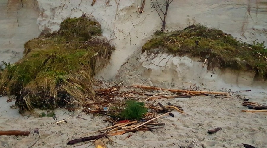 Mierzeja Wiślana. Ogromne zniszczenia wydm i plaż (11)