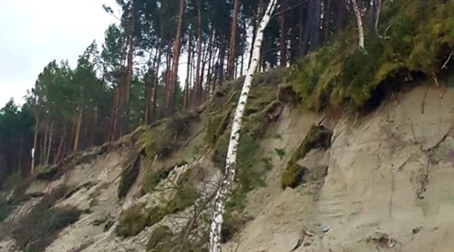 Mierzeja Wiślana. Ogromne zniszczenia wydm i plaż (12)