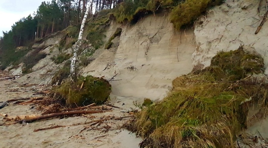 Mierzeja Wiślana. Ogromne zniszczenia wydm i plaż (13)