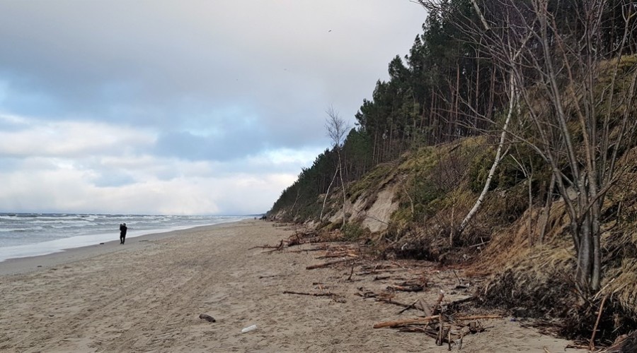 Mierzeja Wiślana. Ogromne zniszczenia wydm i plaż (14)