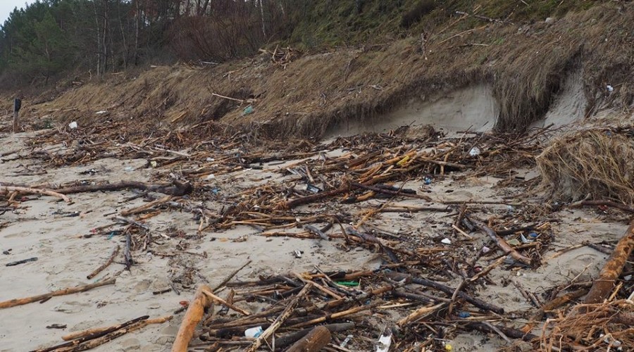 Mierzeja Wiślana. Ogromne zniszczenia wydm i plaż (18)