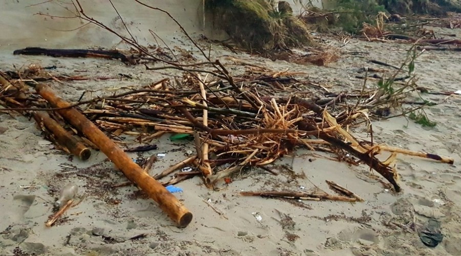 Mierzeja Wiślana. Ogromne zniszczenia wydm i plaż (9)