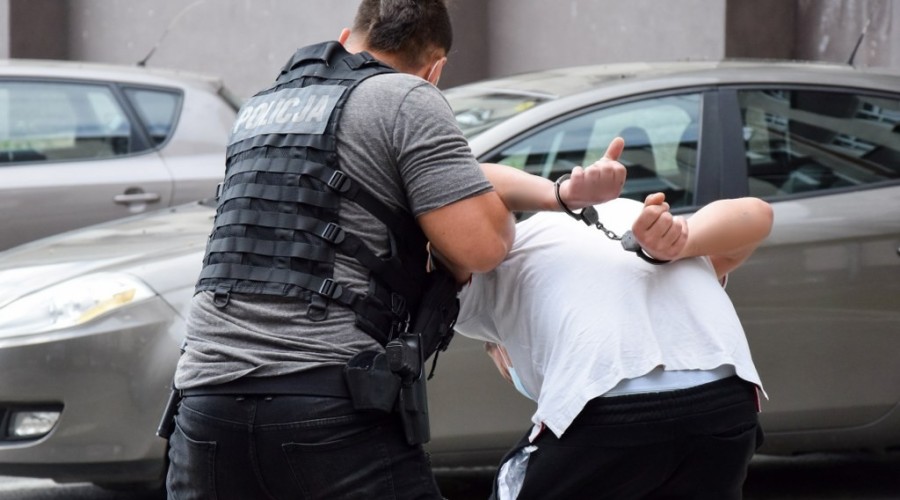 kradzieże Nowy Dwór Gd.