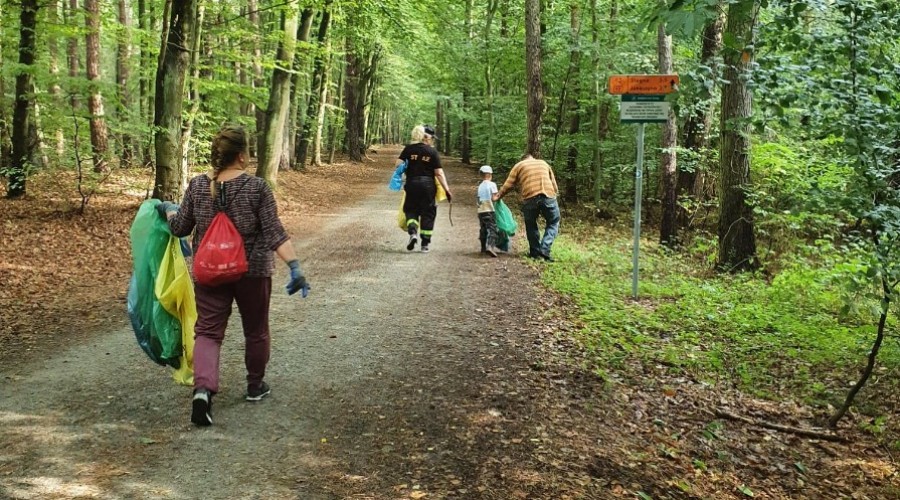 akcja sprzatania jantar (2)