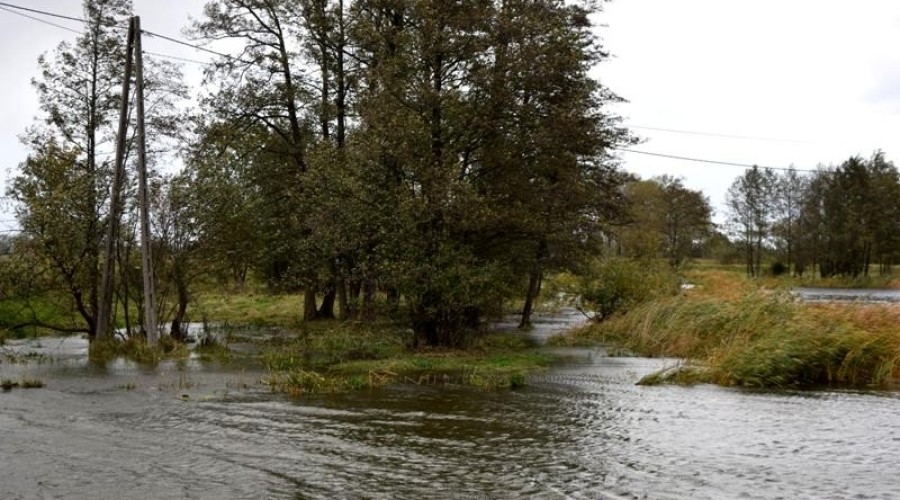 żuławy, cofka, sztorm (5)