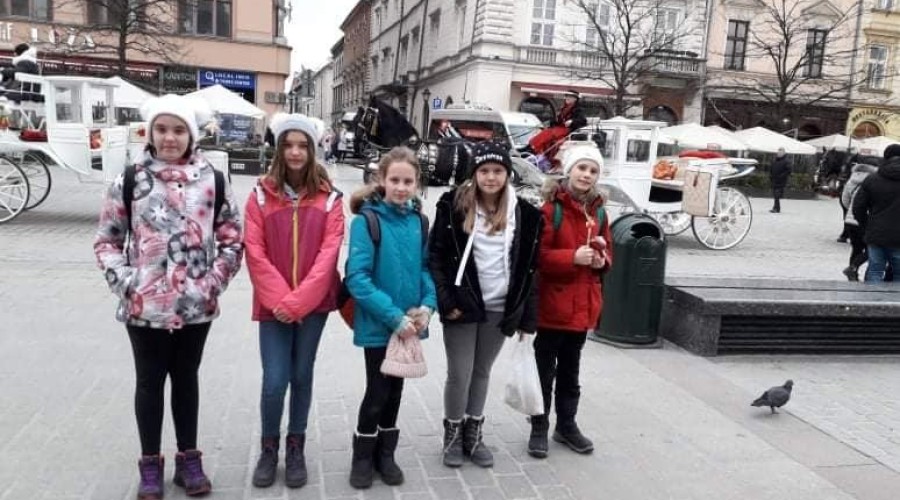 52717054_653487585108085_7199823776169590784_n