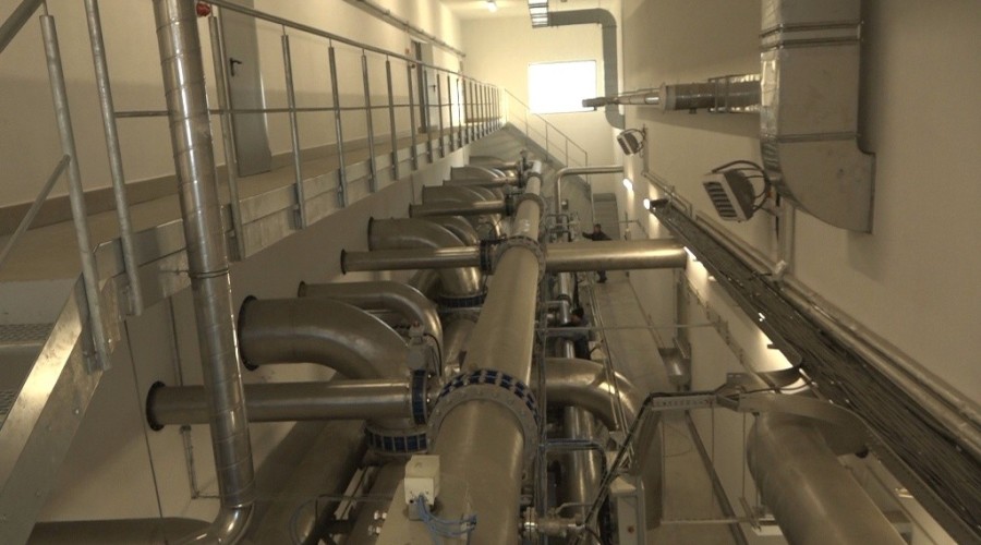 cwż styczeń 202003