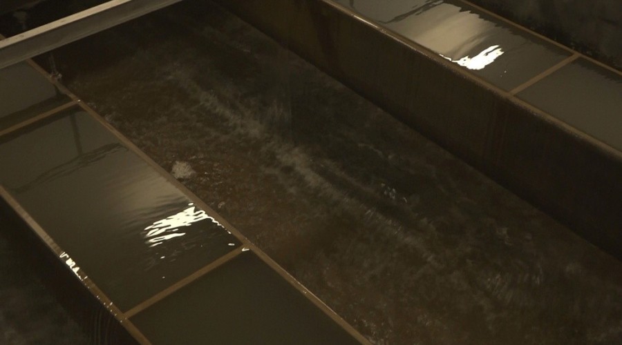 cwż styczeń 202004