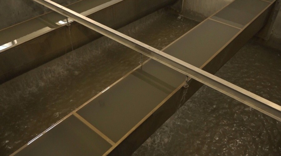 cwż styczeń 202006