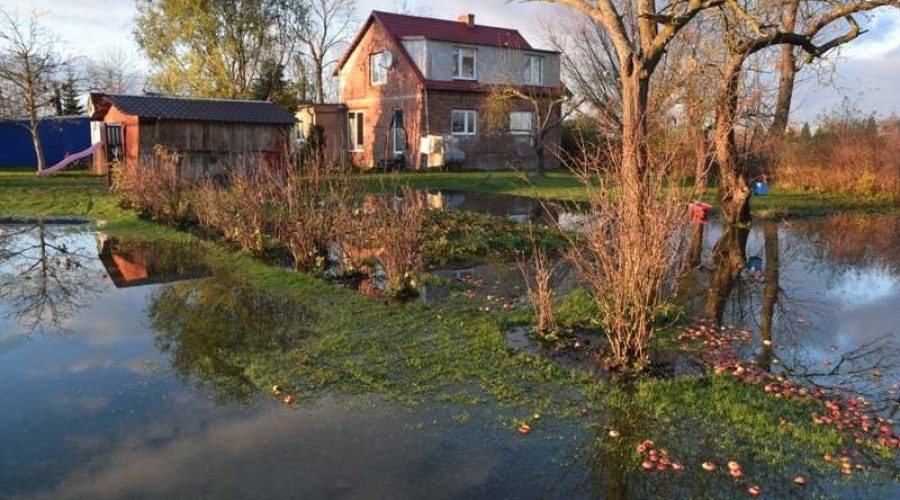 żuławki podtopienia10