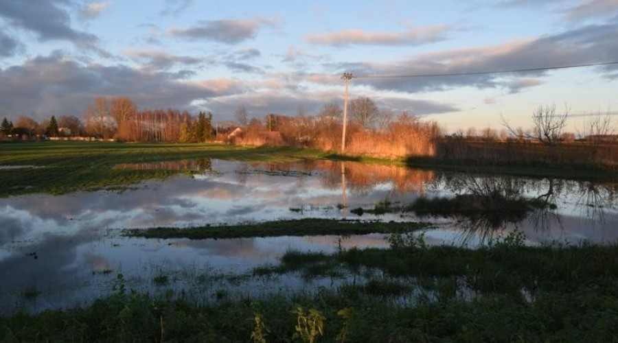żuławki podtopienia12