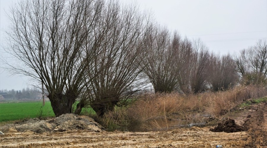 wrota sztormowe 14.12 (40)