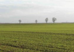 Horyzont Żuław – między rzeką, morzem a człowiekiem. Debata o przyszłości Żuław już 19 listopada 2025 r.