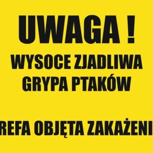 Grypa ptaków w Gminie Stegna. Władze apelują o ostrożność do mieszkańców i turystów