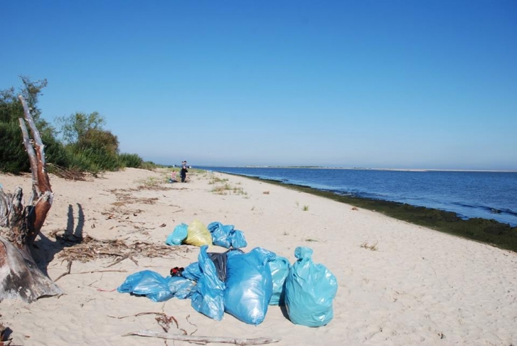 Nie bądź patałachem, posprzątaj Mewią Łachę edycja wiosna 2019