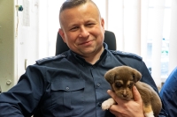 Nowodworski policjant adoptował porzuconego szczeniaka
