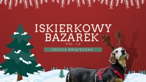 Wesprzyj psiaki z Nowodworskiego Stowarzyszenia Pomocy Zwierzętom "Iskierka" Weź udział w Iskierkowym Bazarku, który rusza 1 grudnia!