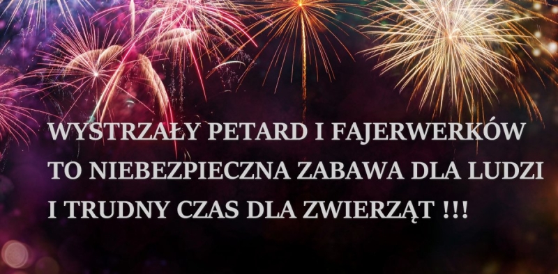 Wystrzały petard i fajerwerków to niebezpieczna zabawa dla ludzi oraz trudny czas dla zwierząt!