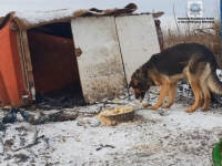 Policjanci apelują ! Psy pozostawione na mrozie - zamarzają!!