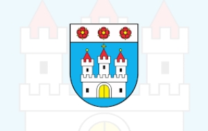 Drugi przetarg ustny nieograniczony na sprzedaż. Ogłoszenie Burmistrza Nowego Dworu Gdańskiego.