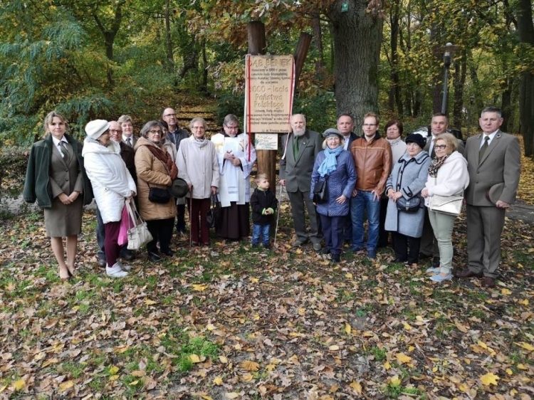 Krynica Morska. Sympatycy przyrody świętowali 60 rocznicę zasadzenia &quot;Benka&quot;