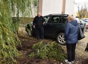 Gmina Nowy Dwór Gd. 650 sadzonek drzew trafiło na tereny wiejskie.