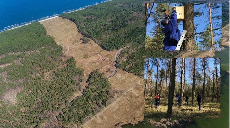 Montują budki lęgowe na przekopie Mierzei - 18.04.2019