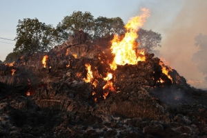 Powiat Nowodworski. Plaga pożarów stert i ściernisk.