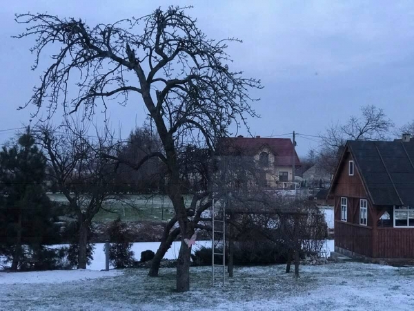 Dziś wypada najbardziej depresyjny dzień w roku tzw. Blue Monday 2019.