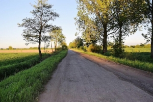 drogi powiatowe