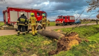 Powiat Nowodworski. Uwaga na silny wiatr. Strażacy mają dużo pracy.