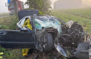 Dwóch nastolatków po uderzeniu w drzewo poniosło śmierć na miejscu.