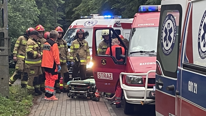 Stegna. Dwie osoby poszkodowane. BMW wjechał w pieszych.