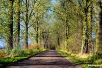 Powiat nowodworski inwestycje drogowe