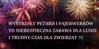 Wystrzały petard i fajerwerków to niebezpieczna zabawa dla ludzi oraz trudny czas dla zwierząt!!