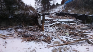 Sztutowo. "Mierzeja po-MORZE" Akcja sprzątania plaży.