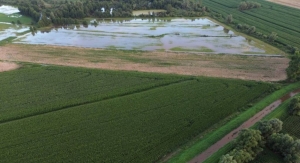 Żuławy biją na alarm. Bez inwestycji zagrożone są pola, gospodarstwa i bezpieczeństwo mieszkańców