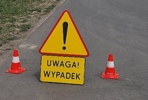 S7. Samochód wypadł z drogi. Poszkodowane matka z dzieckiem trafiły do szpitala.
