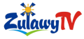 Żuławy TV